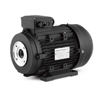 3 Phase 4 Pole Ac Asynchronous 3kw 4hp Electric Hollow Shaft Induction Motor For Cleaning Machine