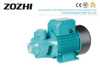 Peripheral Electrical Vortex Water Pump 1/2HP QB 2850RPM Household Application
