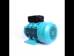 motor induksi satu fase