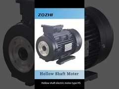 Tiga Fase Asynchronous Hollow Shaft Electric Motor AC Induction Motor Untuk Mesin Cuci