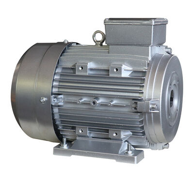 Two bearing 5.5kw 7.5HP Hollow Shaft Motor For Italy High Pressure Water Pump