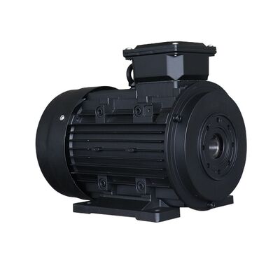1450RPM Hollow Shaft Single Phase Motor Frequency 50Hz 60Hz Compact Design Perfect for Space Saving Installations