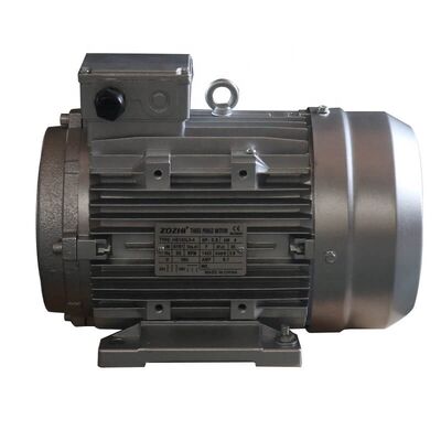IEC 60034-1 Standard 3 Phase Induction Motor Featuring 20m Head and Durable Cast Iron Housing Ideal for Industrial Performance