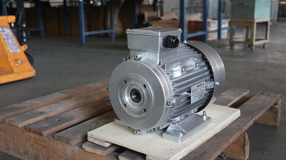 Asynchronous Motor 3 Phase Induction Motor 4 Pole Breakdown Torque 260 Percent Ideal for Industrial Applications Performance