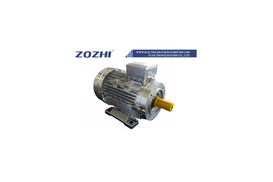 MS100L1-4 Aluminium 2.2KW 3HP Three Phase Ac Motor S1 Duty