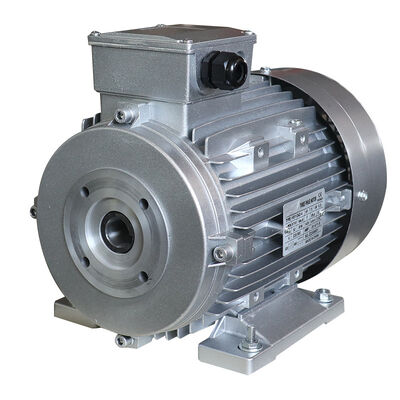 Dua bantalan 5.5kw 7.5HP Hollow Shaft Motor Untuk Italia Pompa Air Tekanan Tinggi
