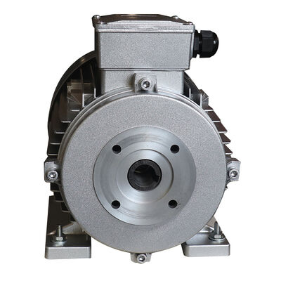 Ampere 13.8 Hollow Shaft Single Phase Motor Featuring Insulation Class F Perfect for Industrial Automation and Machinery