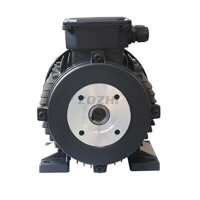 Insulation Class F H hollow shaft AC motor customizable design focused on delivering consistent torque and energy usage