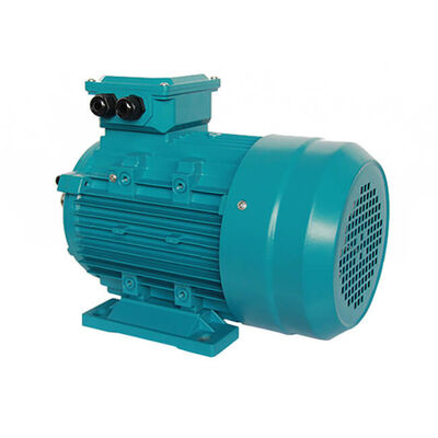 50Hz 60Hz Rated Frequency 3 Phase Induction Motor Providing 20m Head Suitable for Pumps Fans and Industrial Equipment
