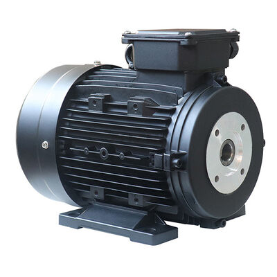 High Pressure Pump Hollow Shaft Single Phase Motor Hollow Shaft Diameter Φ24mm Built for Robustness and Long Term Industrial